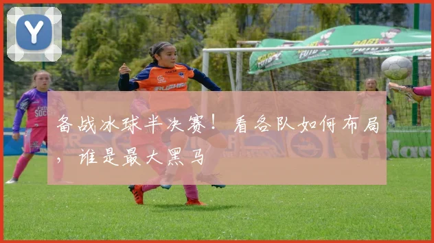 备战冰球半决赛!看各队如何布局,谁是最大黑马