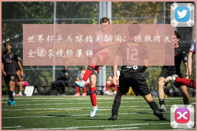 世界杯乒乓球精彩瞬间：顶级对决全记录视频集锦